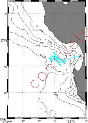 SG503 map